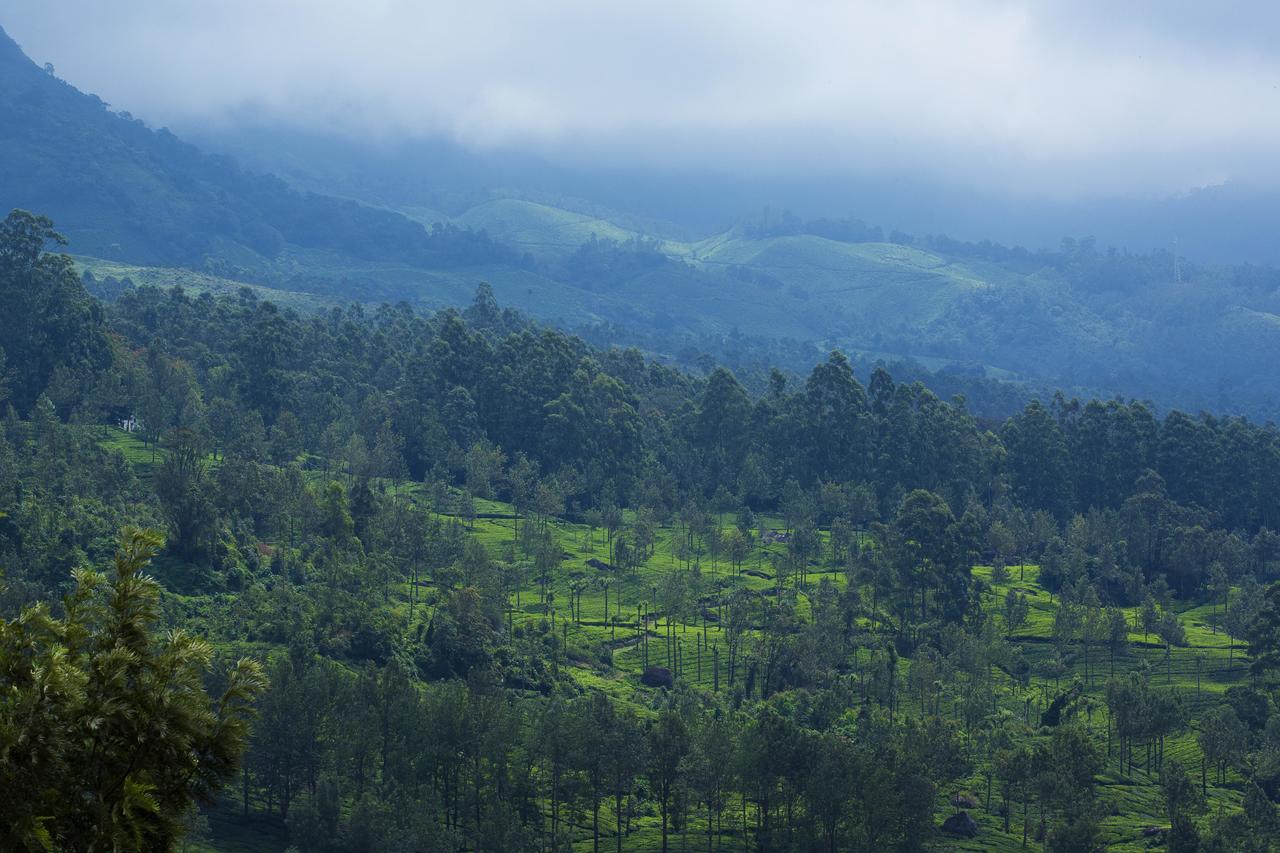 Mount View Munnar Hotel Exterior photo